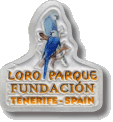 Loro Parque